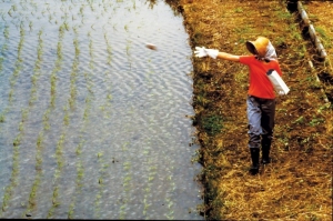 Japan Agrochemicals Market Size, Share and Industry Trends 2025-2033