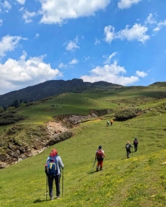 Top Reasons to Choose the Phulara Ridge Trek Package for Your Next Himalayan Adventure