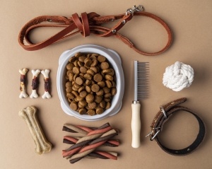 Pet Supplements for Dogs to Daily Care