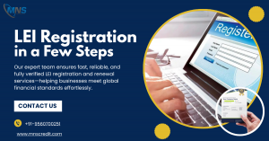 Businesses Rush to Complete the LEI Registration Process on Leading LEI Register Platforms
