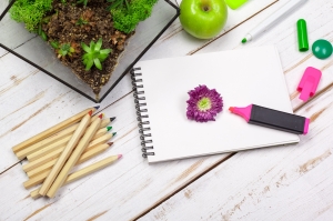 The Ultimate Guide to Plantable Pencils: Uses, Benefits & How They Grow