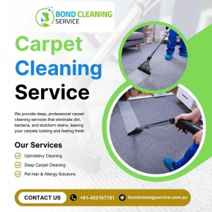 Professional Carpet Cleaning Guide: Methods, Tips & Benefits
