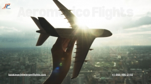 Aeromexico flights The Jersey Flights