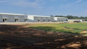 Why Red Iron Structures Are Ideal for Texas Buildings?