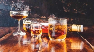 Malt Spirits Manufacturing Plant Cost Analysis Report 2025: Feasibility Study and Profit Analysis