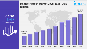 Mexico Fintech Market Size, Share, Trends, Growth Factors and Forecast 2025-2033
