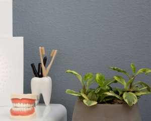 You have Trustworthy Dental Care in Hamilton