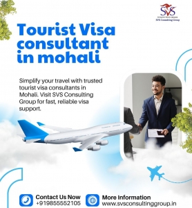Which Tourist Visa Consultants in Mohali Are Best for You?