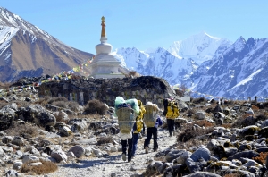 Journey Through the Silent Beauty of the Langtang Valley Trails