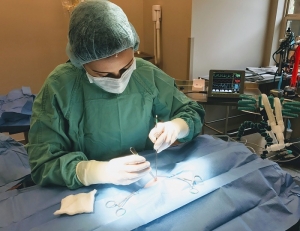 What Should Pet Owners Know Before Choosing Pet Surgery Services?