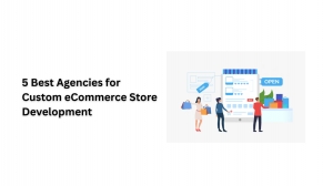 5 Best Agencies for Custom eCommerce Store Development  5 Best Agencies for Custom eCommerce Store Development  