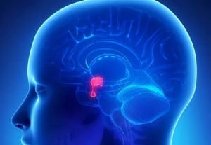 What Happens After Acromegaly Treatment? Recovery Insights