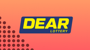 Dear Lottery Result Guide – Complete Nagaland State Lottery Result Information by dearlottery.pro.in