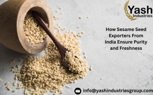 How Sesame Seed Exporters From India Ensure Purity and Freshness