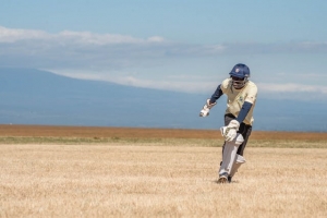 Cricket Betting ID- Your Smart to Online Cricket Action