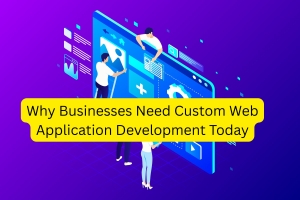 Why Businesses Need Custom Web Application Development Today