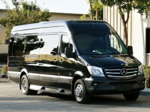How To Organize Family Trips Easily With Minibus Rental