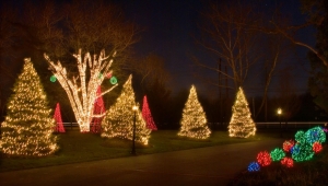 LED Christmas Lights