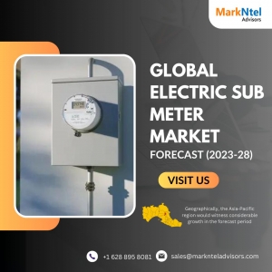 Electric Sub Meter Market Analysis: Size, Share, Growth, and Investment Prospects