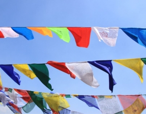 Printed Colour Flag Manufacturing in Chennai | Latest Trends & Market Insights 2025