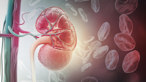 Hyperphosphatemia Treatment Market Size, Share and Research 2025-2033
