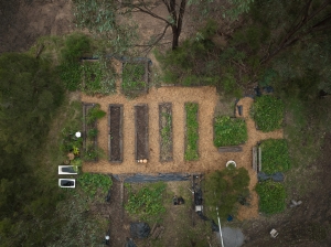 Transform Your Outdoor Space with Raised Garden Beds and Red Gum Sleepers