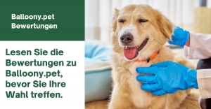Lesen Sie die Bewertungen zu Balloony.pet, bevor Sie Ihre Wahl treffen.