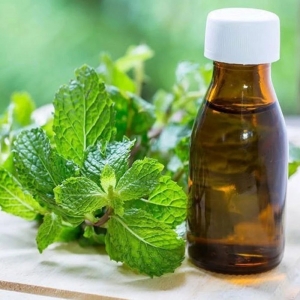 Best Quality Mentha Piperita Oil Manufacturers in India: A Complete Guide