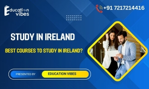 Which course is best to study in Ireland?