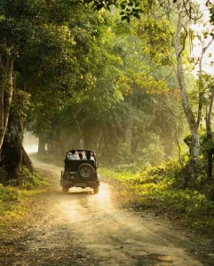Your Essential Guide to Booking a Thrilling Corbett Jungle safari in Uttarakhand