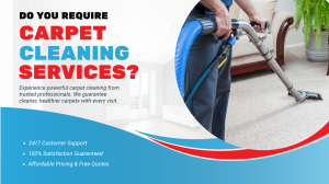 Fresh Home Guide: Top 5 Carpet Cleaning Hacks You Should Try