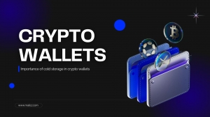 The Importance of Cold Storage In Crypto Wallet Development for Business