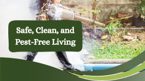 How to Choose the Right Pest Control Service for Your Home: A Complete Guide