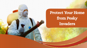 The Hidden Dangers of Ignoring Pest Infestations: Why Professional Pest Control Matters