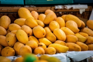 Discover How Fresh Mango Exporters Are Taking Indian Sweetness Global
