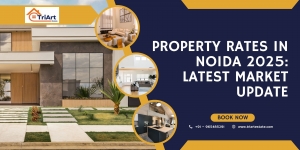Property Rates in Noida 2025: Latest Market Update