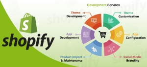 Professional Shopify Development Services for Custom eCommerce Solutions