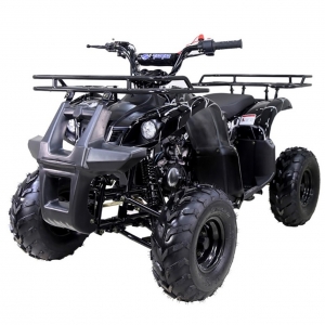 Why Cheap Four Wheelers Are the Best Choice for Beginner and Recreational Riders