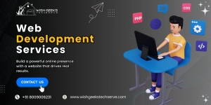 Professional Web Development Services 