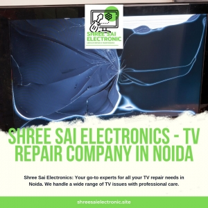 Audio Ic Replacement in TV – Complete Guide by Shree Sai Electronic