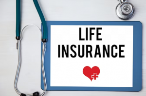 Earning More from Your Policy: Exploring Whole Life Insurance Dividend Rates