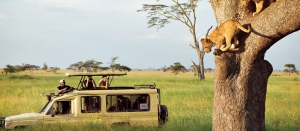 Tanzania Safari: A Complete Guide to Wildlife, Parks & Unforgettable Adventures