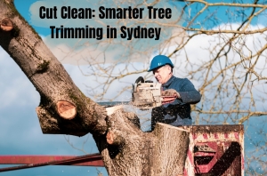 Cut Clean: Smarter Tree Trimming in Sydney