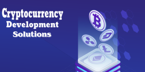 From Vision to Reality: Cryptocurrency Development Solutions