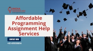 Affordable Programming Assignment Help Services