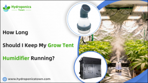Title:  How Long Should I Keep My Grow Tent Humidifier Running?
