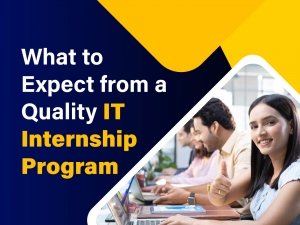 What to Expect from a Quality IT Internship Program
