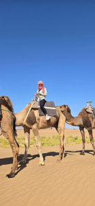 a tourist on a camel 