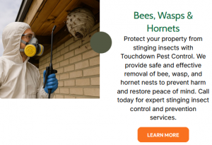 Rat Control Orange County | Long Beach Pest Control !