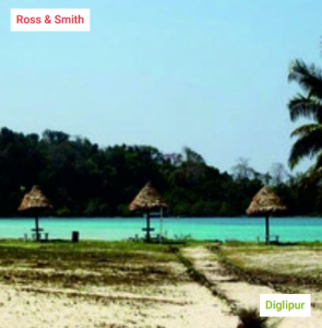 Andaman Packages for Couples & Families | Best Andaman and Nicobar Tour Packages!